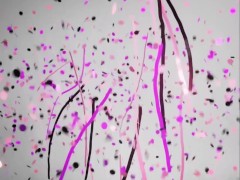 Riding a cock in my ass in the office 