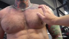 Muscle