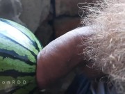 Preview 2 of The guy fucks watermelon hard with a big hairy dick