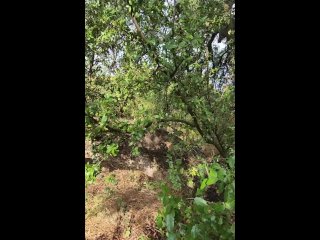 Caught a girl smoking in the woods 🏕️