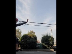 ninja fox 😅🤔🤨 - Screenshot 10 of 16 - Silly