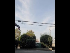 ninja fox 😅🤔🤨 - Screenshot 8 of 16 - Silly