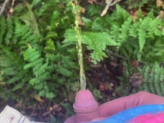 Enjoying a Piss in the Woods (Micro Penis Outdoor Nature Pissing POV)