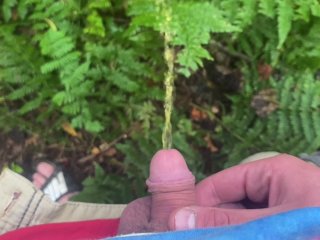 pissing outdoors, pov, solo male, micropenis