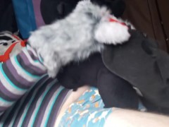 Toothless Dragon Fun 18