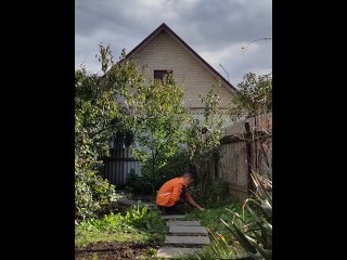 Ordinary affairs. Day in the garden