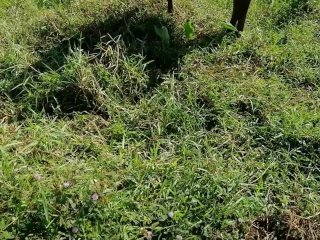 peeing outdoor completion  men peeing outdoor