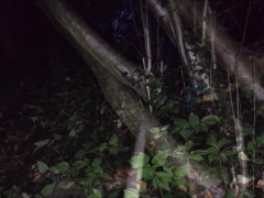 Hexe fickt Besen im Wald
