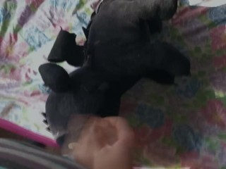 Веселье Беззубика Дракона 22