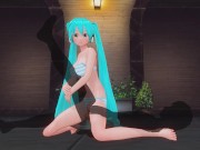 Preview 2 of 3D HENTAI Miku holds his leg and rides a fan's cock