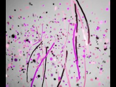 Office Dildo clip part 4