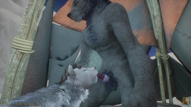 Furry Fuck Grey and White Wolf - Pornhub.com