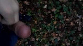 Cumming in the forest