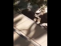 SE HIZO UN DOCUMENTAL Y TERMINO EN TRIO