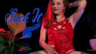 Suck It : Bisexual Encouragement Blowjob FemDom Training