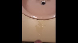 Quick bathroom cumshot
