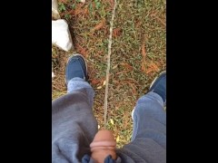 Back Yard Pissing 1/16