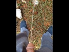 Back Yard Pissing 11/16