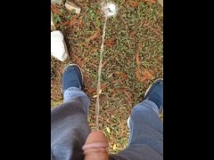 Back Yard Pissing 13/16