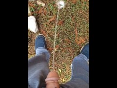 Back Yard Pissing 14/16
