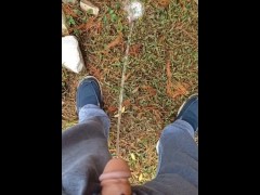 Back Yard Pissing 15/16