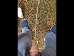 Back Yard Pissing 2/16