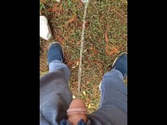 Back Yard Pissing 3/16