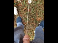 Back Yard Pissing 8/16