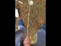 Backyard Pissing