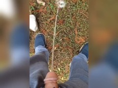 Pee Compilation 14/16