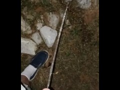 Back Yard Night Pissing