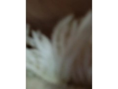 Stephanie Nichole Collier horny whore