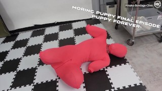 Puppy Forever Final Episode Moring Puppy
