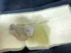 男の娘、大学生がソファーでおねしょ - Screenshot 16 of 16 - Japanese