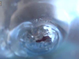 This Is How_I CREAMPIE My FLESHLIGHT - Camera Inside a_TOY PUSSY