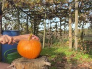 Preview 6 of DIY Pumpkin Fleshlight for Halloween Fucking and cumming in public