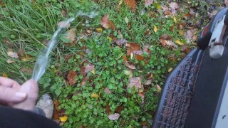 couldn't hold it and pissed on the side of a busy road