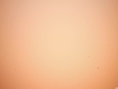 Welcome to Humper's Park 2 - Amber Stark, Jupiter Jetson / Brazzers