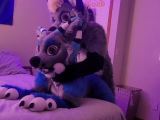 Free Murrsuit Porn | PornKai.com