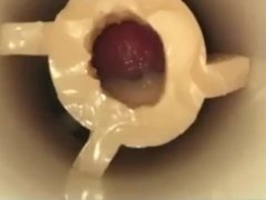 Cumming in Riley Reid Flesh Light