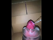 Preview 5 of Huge slow-motion cumshot from inside a box