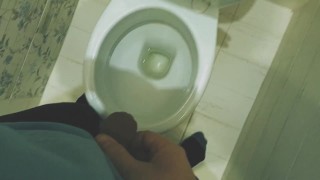 自宅のトイレで放尿する10代の少年/アンドリス