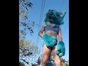 Preview 1 of Wolf Fursuiter pisses on public hiking trail