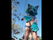 Preview 4 of Wolf Fursuiter pisses on public hiking trail