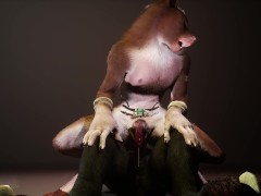 Rough Furry Sex Animation