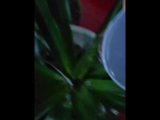 Sexy plant watering at night. Very wet.