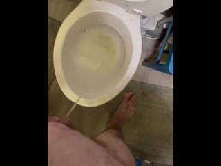 I really need to clean the toilet