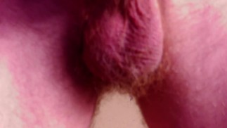 Nut Lifting Porn