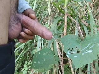 Garçon Indien éjaculation Dans La Forêt