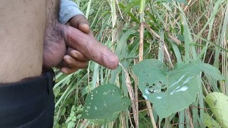 Cumshot Of An Indian Boy In The Forest